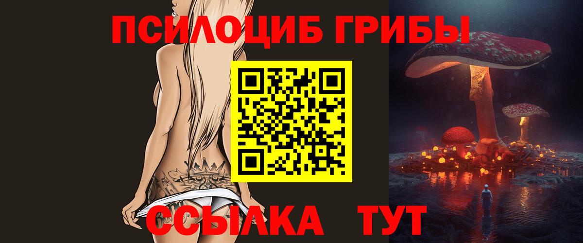 Магнитогорск  Псилоцибиновые грибы Psilocybine cubensis  Вход с VPN 